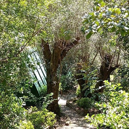 La Francesca Sud Un Villaggio"Glamping" Scario Extérieur photo