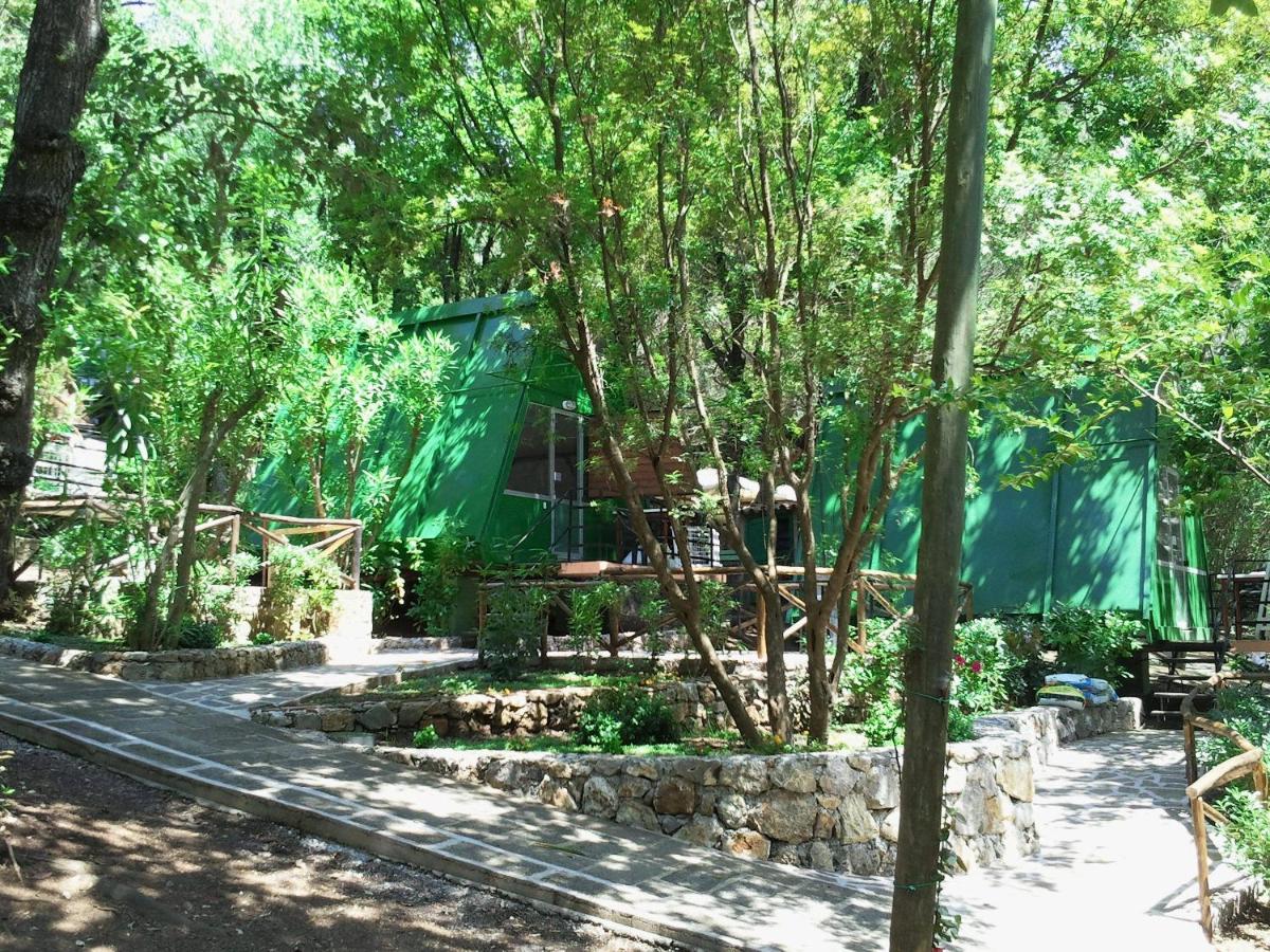 La Francesca Sud Un Villaggio"Glamping" Scario Extérieur photo