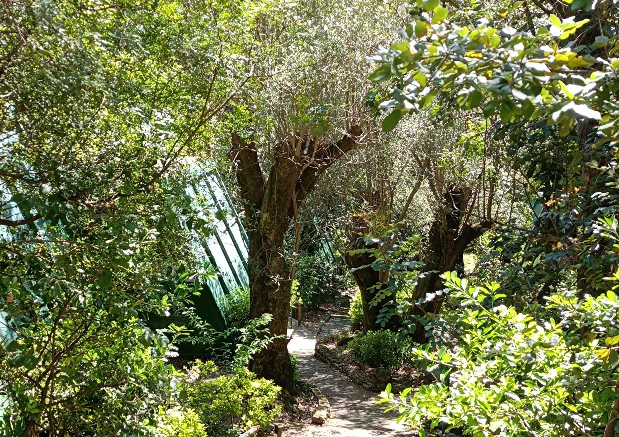 La Francesca Sud Un Villaggio"Glamping" Scario Extérieur photo